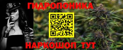 спиды Тара