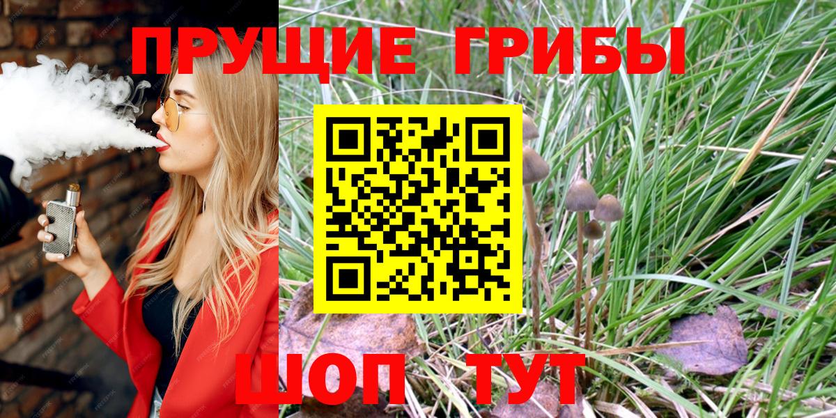 Псилоцибиновые грибы мицелий  Галлюциногенные грибы GOLDEN TEACHER  Мценск  Вход с VPN 